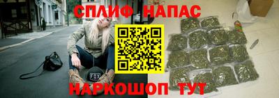 МДПВ Будённовск